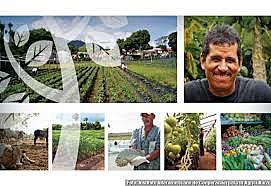 decreto 3600 de 2007