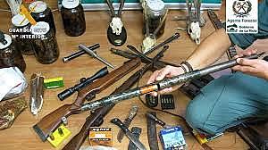 decreto 4688 de 2005