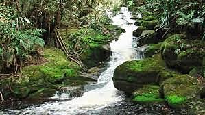 decreto 1729  de 2002