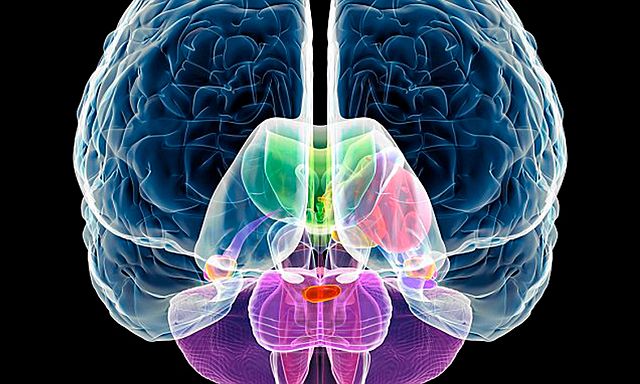 The 1990 Amendments (Public Law 101-476)
