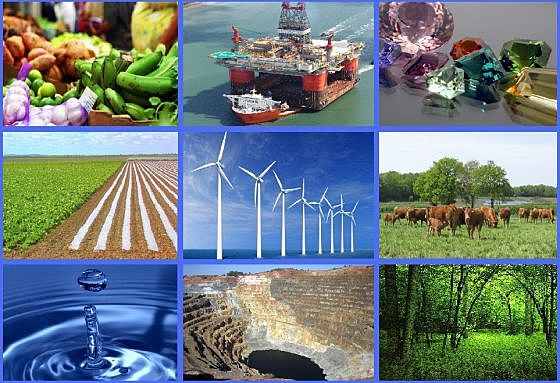 la Constitución Política de Colombia  (DECRETO 2811 DE 1973