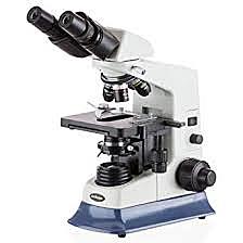 Microscopio compuesto