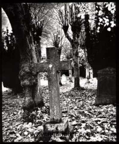 Suicide: Laryn Cruz passed away