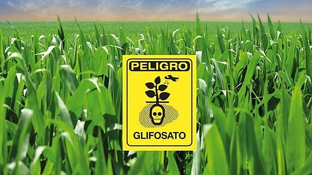 RESOLUCIÓN  6 de 2015 - POR EL CUAL SE ORDENA LA SUSPENSIÓN DEL USO DE GLIFOSATO (HERBICIDA)