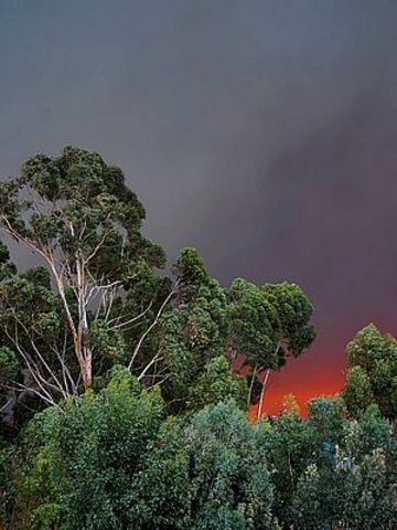 The Starting of Deforestation