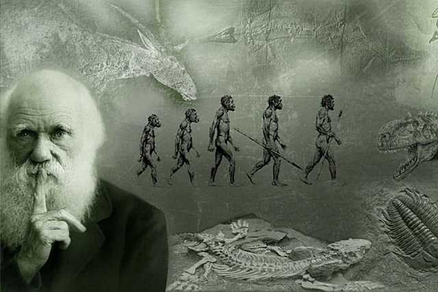 DARWIN DESCUBRE UN ESCRITO DE WALLACE QUE COINCIDE CON EL SUYO EN LAS TEORÍAS DE LA EVOLUCIÓN
