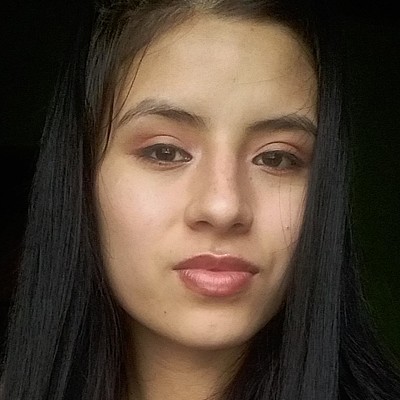 Timeline: Marco ambiental Colombia- Lenny Julieth Hoyos Castillo- Argelia Cauca