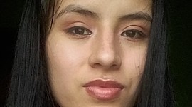 Timeline: Marco ambiental Colombia- Lenny Julieth Hoyos Castillo- Argelia Cauca