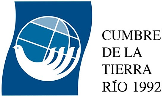 Declaración de Río sobre medio Ambiente y Desarrollo