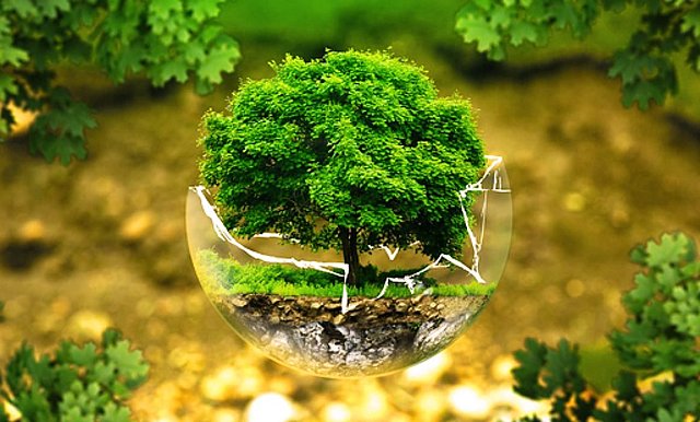 Derecho a un ambiente sano