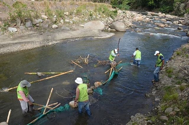 DECRETO 0303 DE 2012