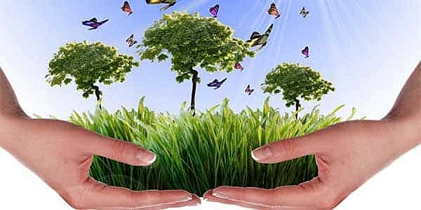 Decreto 1076 del 2015