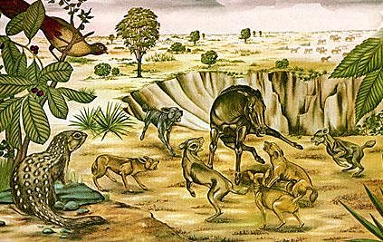 Evolución de los mamíferos