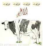 Primera vacuna contra la viruela