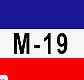 M-19