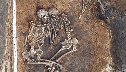 Bubonic Plaugue Begins