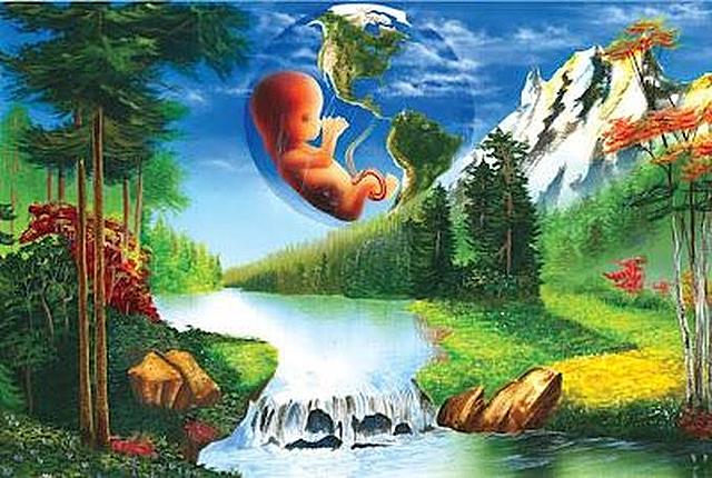 Capítulo 2-De los derechos sociales, económicos y culturales-Artículo 49