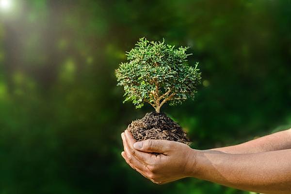 Acuerdo de cooperación ambiental entre el gobierno de la República de Colombia y el gobierno de los Estado Unidos de América