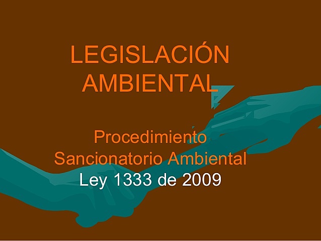 LEY 1333 2009