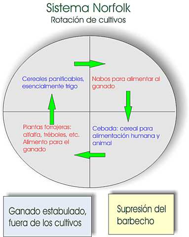 Sistema Norfolk Enclosure Acts