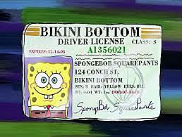 Tengo licencia de conducir