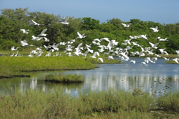 Resolución Nº 0157