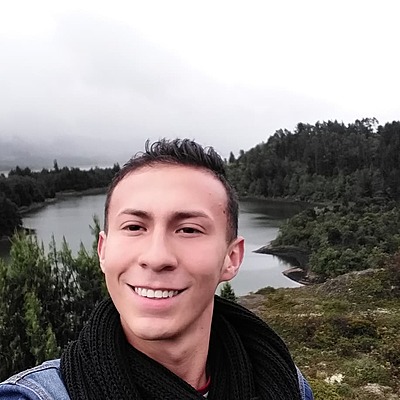 Timeline: Marco ambiental Colombia-Julian Esteban Leon Guerra- Bogota, Cundinarmarca