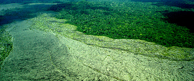Convenios Internacionales de DIversidad Biológica.