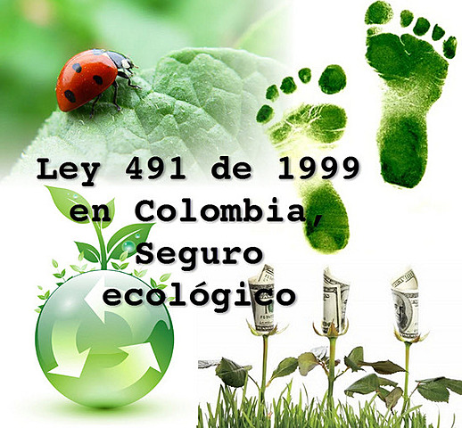 LEY 491 DE 1999
