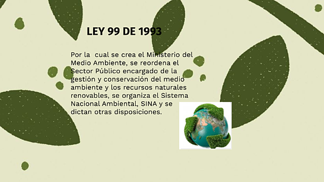 LEY 99 DE 1993