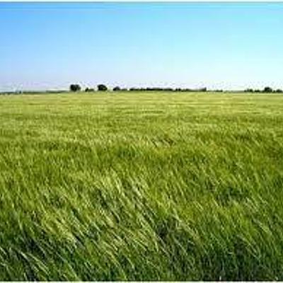 Timeline: Introducción de animales exóticos en Uruguay: ¿Cuándo?, ¿Quién?, ¿Para qué?, ¿Cómo?