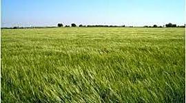 Timeline: Introducción de animales exóticos en Uruguay: ¿Cuándo?, ¿Quién?, ¿Para qué?, ¿Cómo?