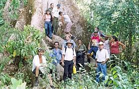 DECRETO 1397 de 2016