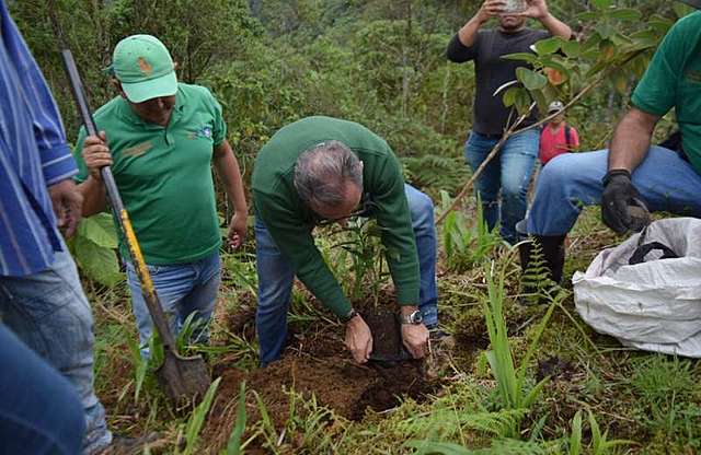 MEDIO AMBIENTE EN LA CONSTITUCIÓN POLÍTICA