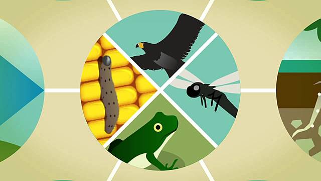 BIODIVERSIDAD Y SERVICIOS ECOSISTÉMICOS DEL AMBIENTE Y DESARROLLO SOSTENIBLE