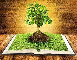 La Cumbre de Rio de Janeiro