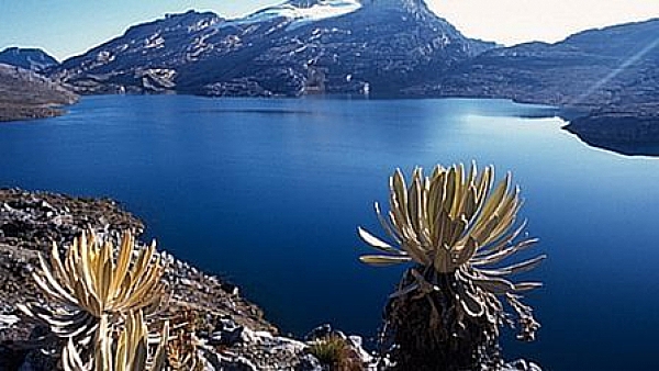 GESTIÓN INTEGRAL DE LOS PARAMOS EN COLOMBIA