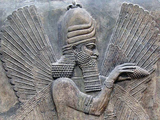 La organización de la información