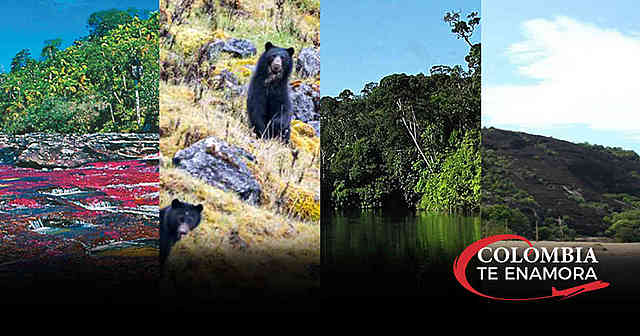 Artículo 95 de la constitución política de Colombia