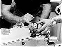 First creatures to return alive from space