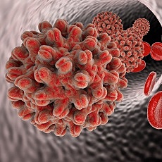 Blood Screening for Hepatitis B