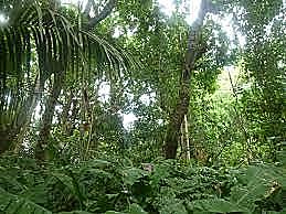 Decreto 2278 de 1953