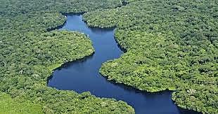 ACUERDO PARA LA CONSERVACION DE LA FLORA Y DE LA FAUNA DE LOS TERRITORIOS AMAZONICOS DE LA REPUBLICA DE COLOMBIA Y DE LA REPUBLICA FEDERATIVA DEL BRASIL