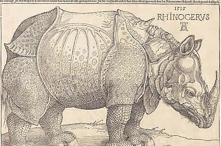 Dürer's Rhinoceros