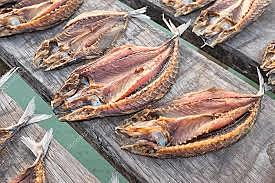 Secado natural al sol