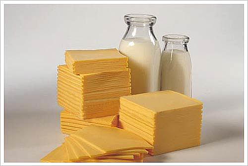 Fermentación láctica en la elaboración de queso