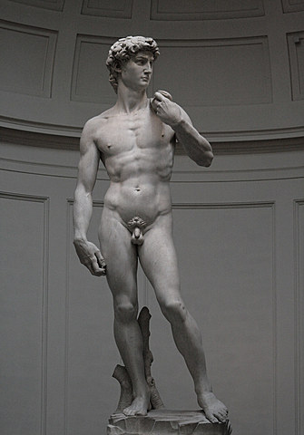 Michelangelo Begins The David Sculpture