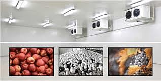 Atmósfera controlada en frutas y verduras