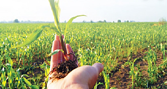 PRESUPUESTOS BASE CERO