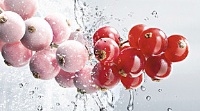 Congelación criogénica